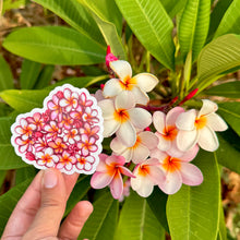 Load image into Gallery viewer, Plumerias in Bloom Clear Sticker 3 in
