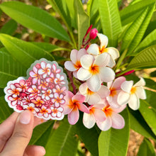Load image into Gallery viewer, Plumerias in Bloom Clear Sticker 3 in