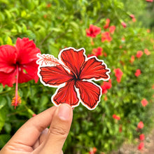 Load image into Gallery viewer, Red Hibiscus Sticker 3 in