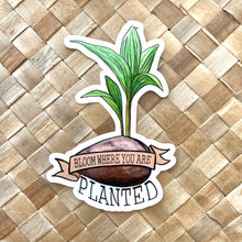 Load image into Gallery viewer, Coconut Palm Sticker 4 in
