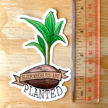 Load image into Gallery viewer, Coconut Palm Sticker 4 in