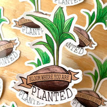 Load image into Gallery viewer, Coconut Palm Sticker 4 in
