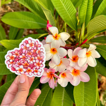 Load image into Gallery viewer, Plumerias in Bloom Clear Sticker 3 in
