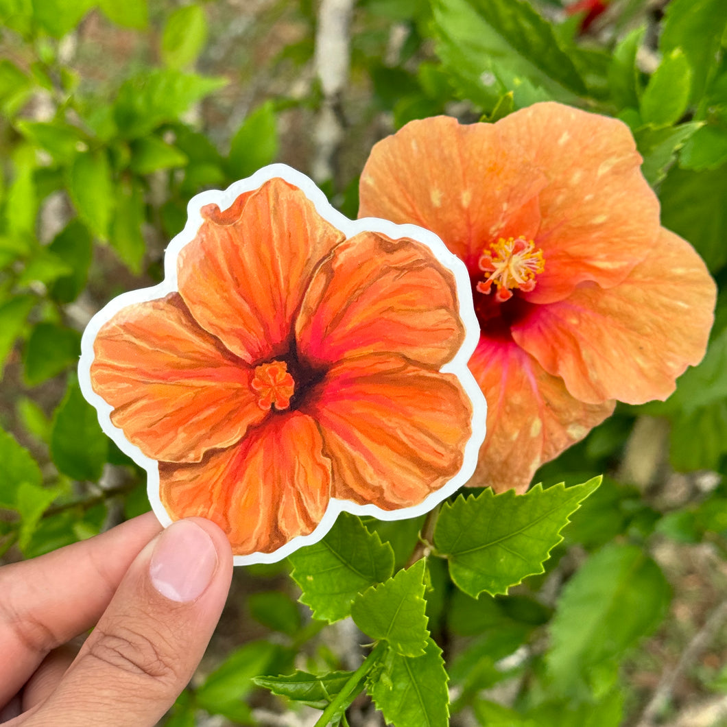 Peach Hibiscus Sticker 3 in