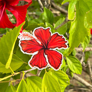 Red Hibiscus Sticker 3 in
