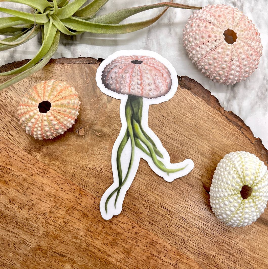 Pink Jellyfish Air Plant Clear Sticker 4 in