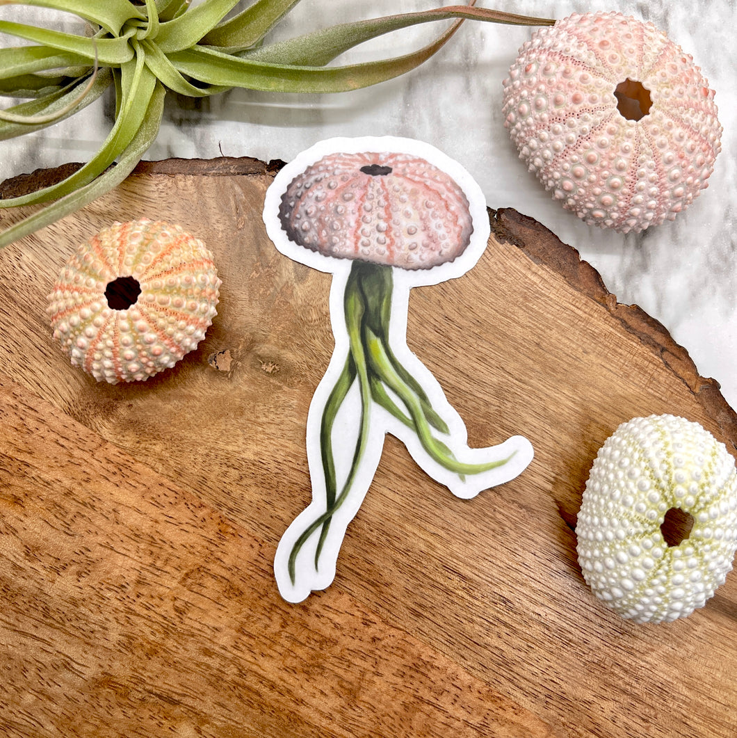 jelly fish air plants Pink Jellyfish Air Plant Clear Sticker 4 in – AundryaMCreations
