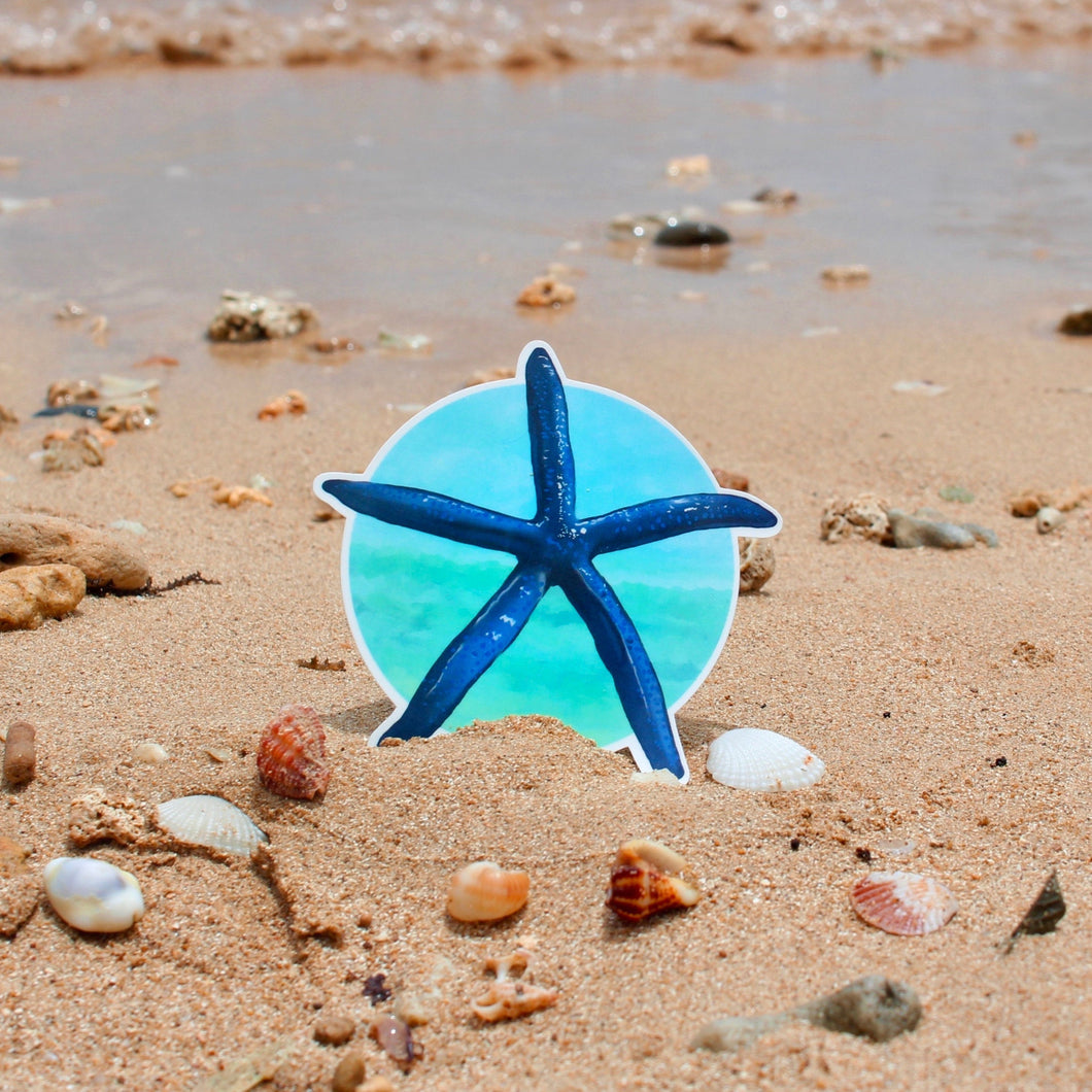 Blue Starfish Sticker 3 in